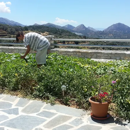 Hotel Elaiolithos - Luxury - Adults Only