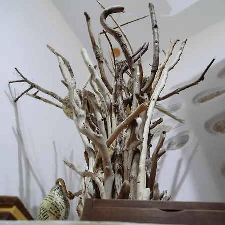 Hotell Elaiolithos - Luxury - Adults Only