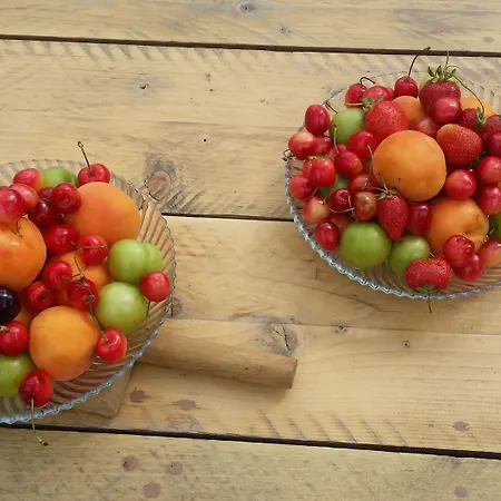 Hotell Elaiolithos - Luxury - Adults Only 3*