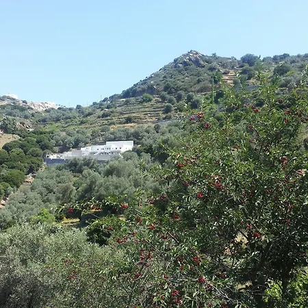 Hotell Elaiolithos - Luxury - Adults Only Khalkíon