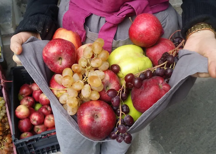 Hotell Elaiolithos - Luxury - Adults Only 3*