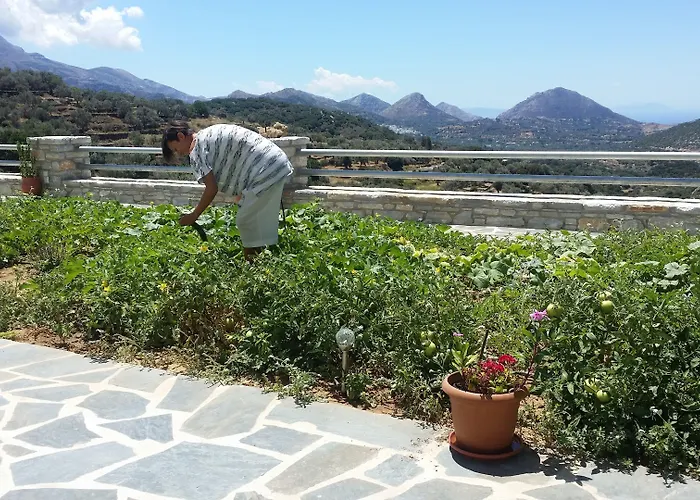 Hotell Elaiolithos - Luxury - Adults Only